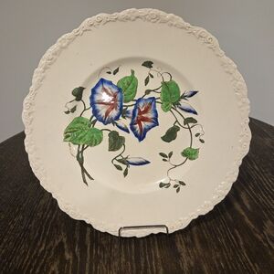 Vintage Royal Cauldron Haywood Bristol Ironstone Dinner Plate Morning Glory